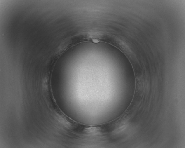 X0000075370269200609151710