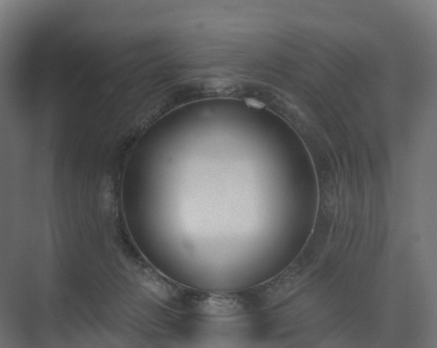 X0000075370270200609151710