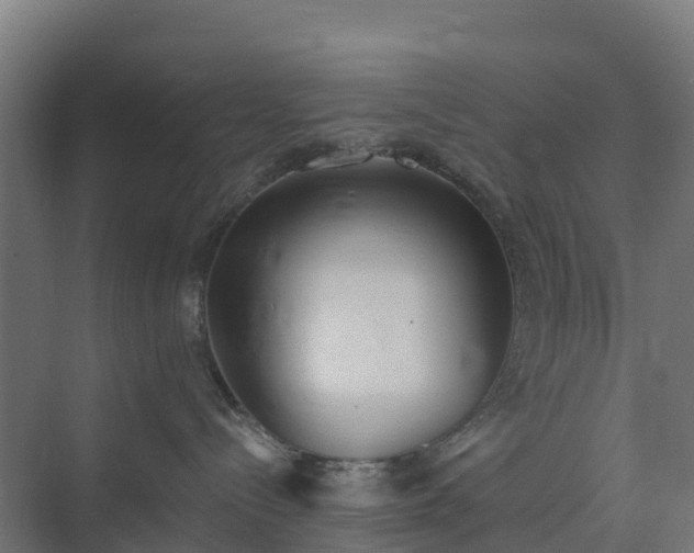 X0000075370288200609151711