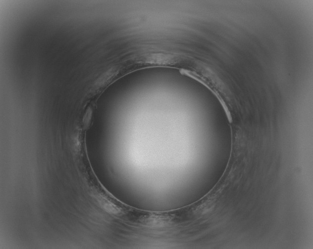 X0000075370305200609151709
