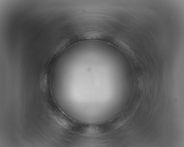 X0000075370308200609151709