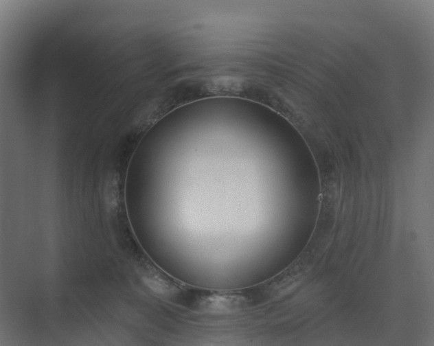 X0000075370323200609151709