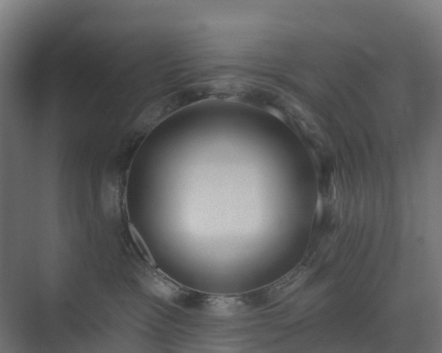 X0000075370333200609151709