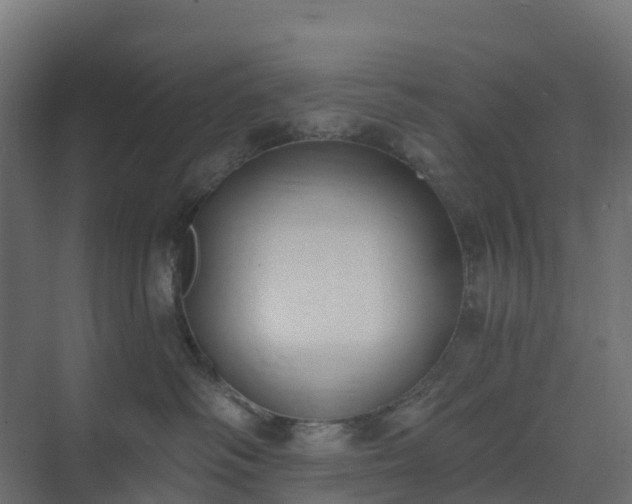 X0000075370334200609151709