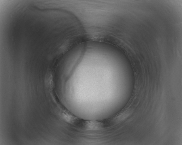 X0000075370336200609151709