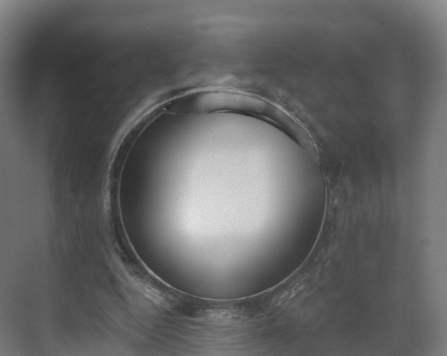 X0000075370344200609151708