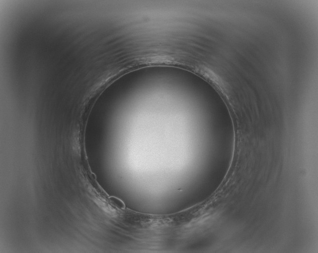 X0000075370345200609151708