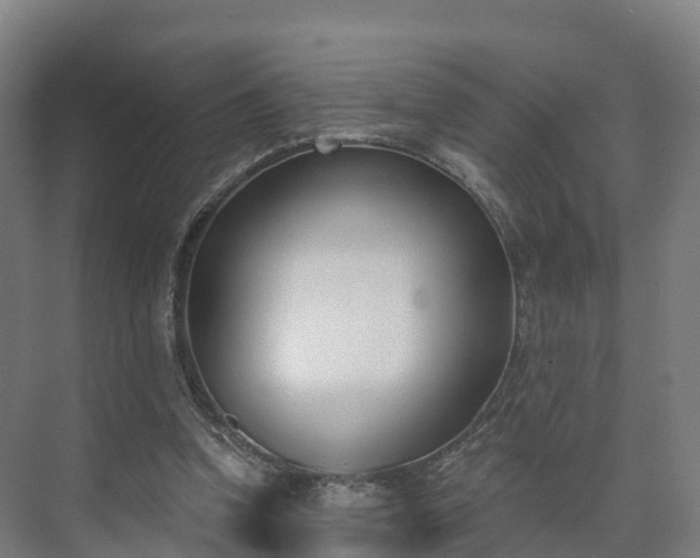 X0000075370346200609151708