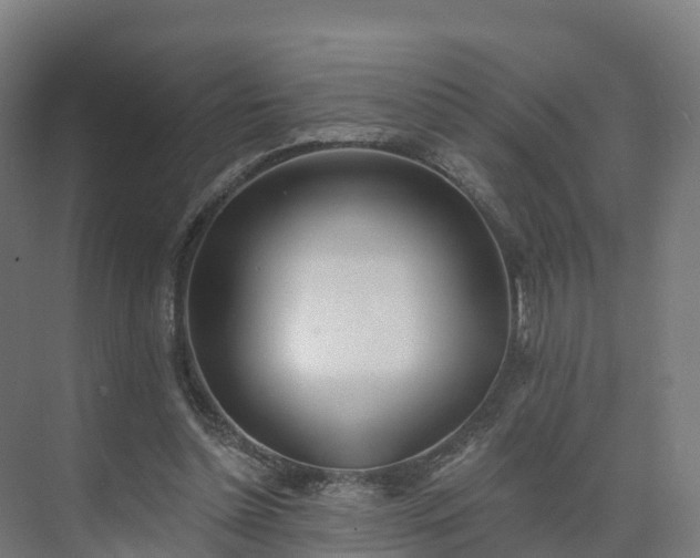 X0000075370348200609151708