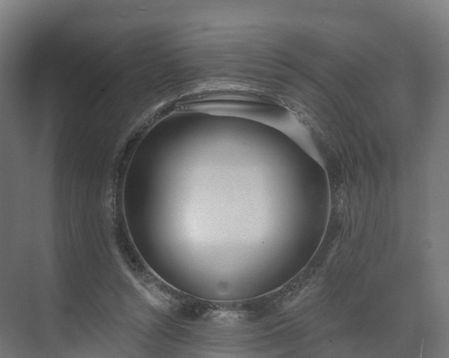 X0000075370352200609151708