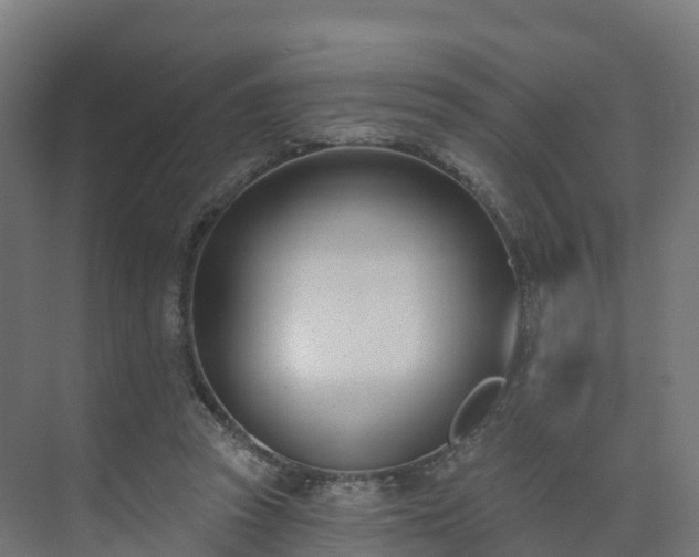 X0000075370353200609151708
