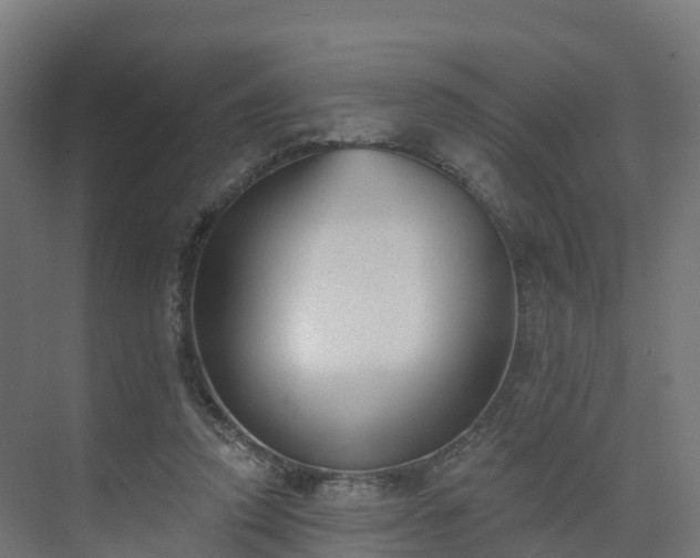 X0000075370354200609151708
