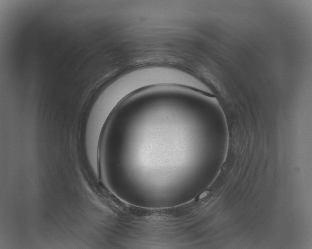 X0000075370356200609151708