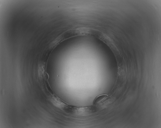 X0000075370382200609151709