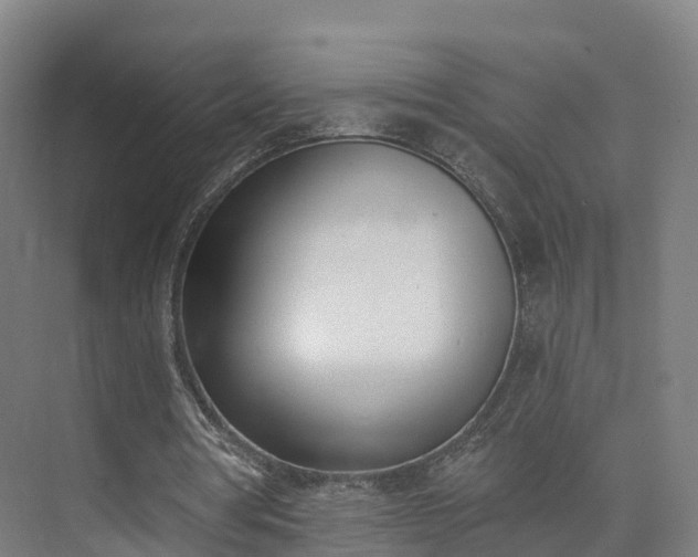 X0000075370386200609151708