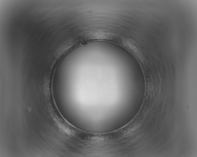 X0000075370394200609151708