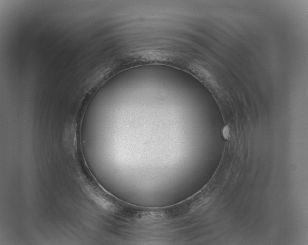 X0000075370398200609151708