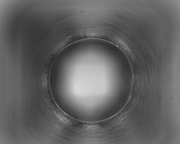 X0000075370401200609151708