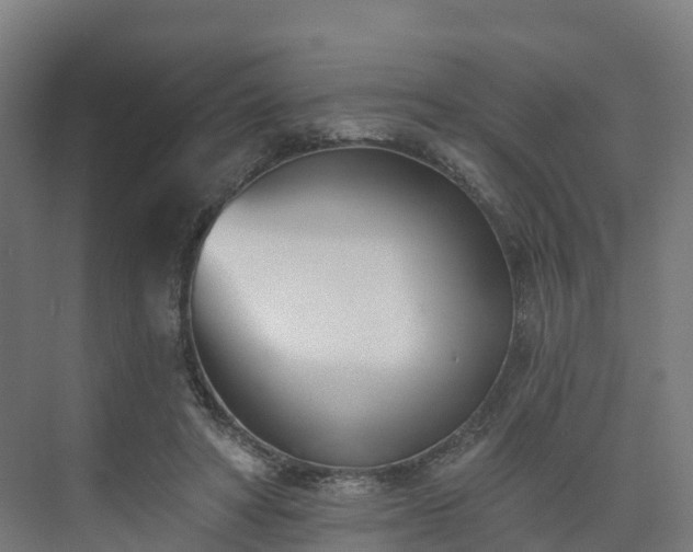 X0000075370402200609151708