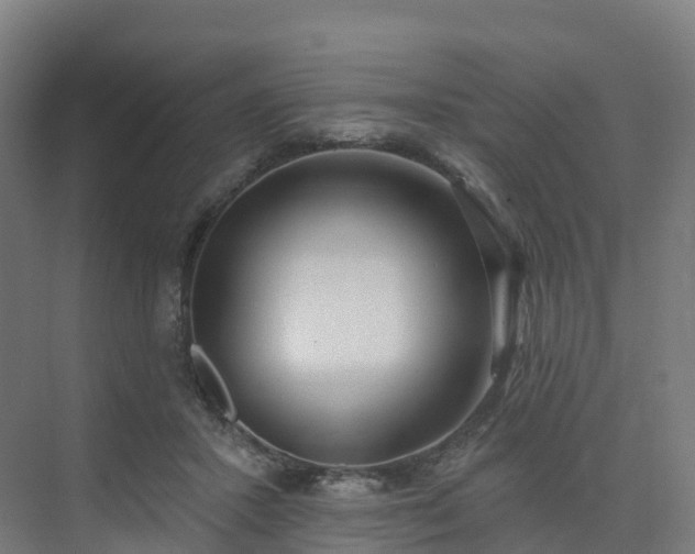 X0000075370407200609151708