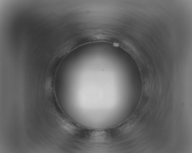 X0000075370410200609151708