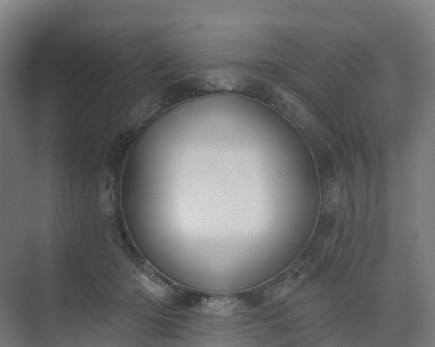 X0000075370414200609151708