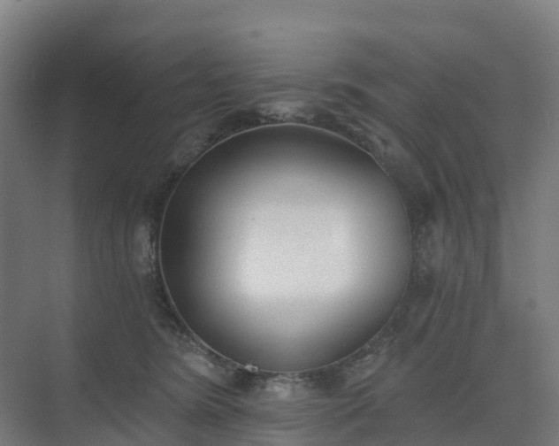 X0000075370420200609151708