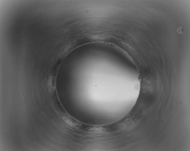 X0000075370428200609151707