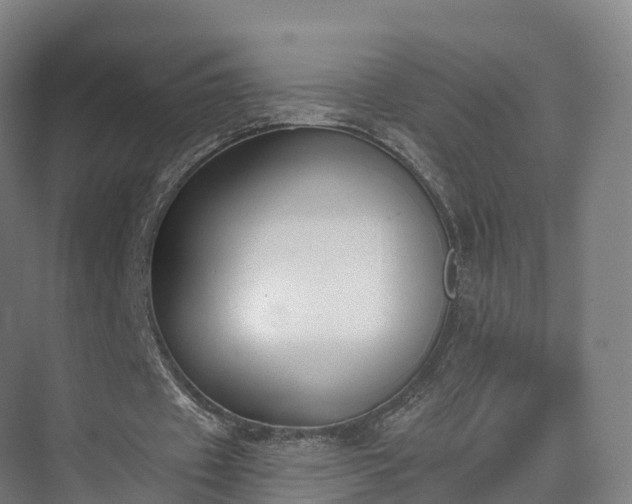 X0000075370433200609151706