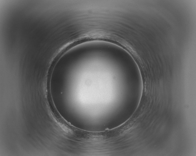 X0000075370438200609151707