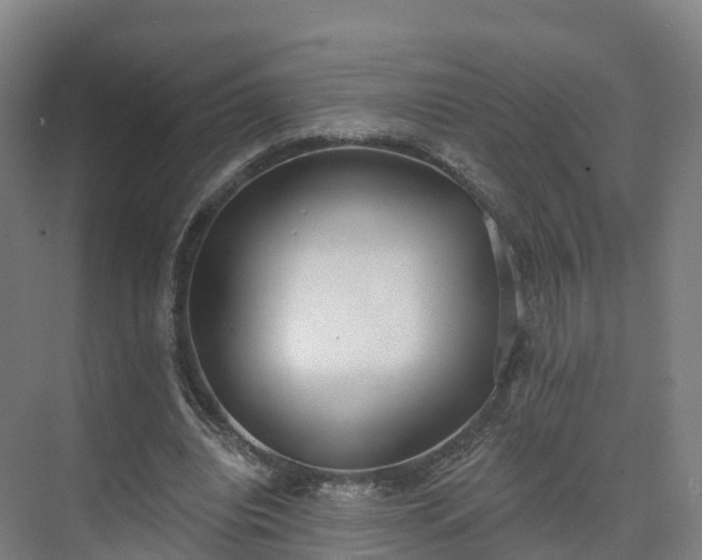 X0000075370440200609151707