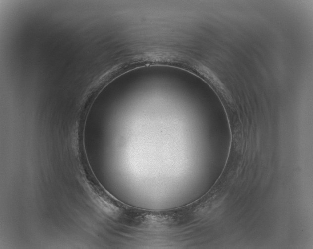 X0000075370442200609151707