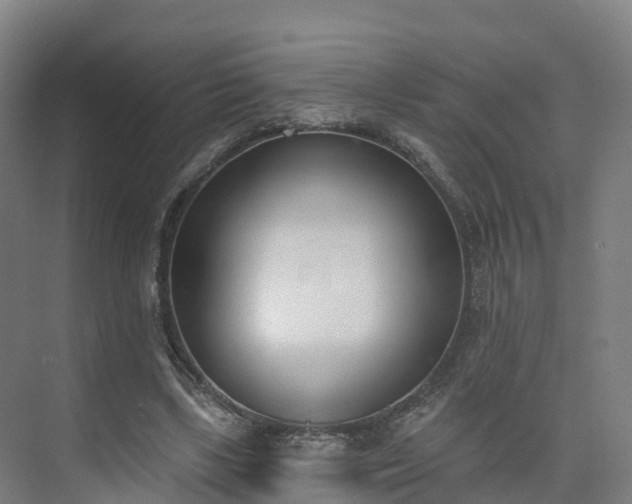 X0000075370443200609151707