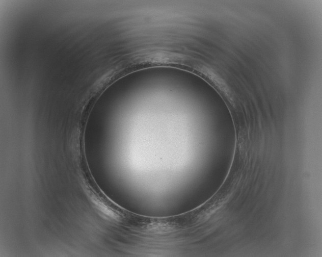 X0000075370445200609151707