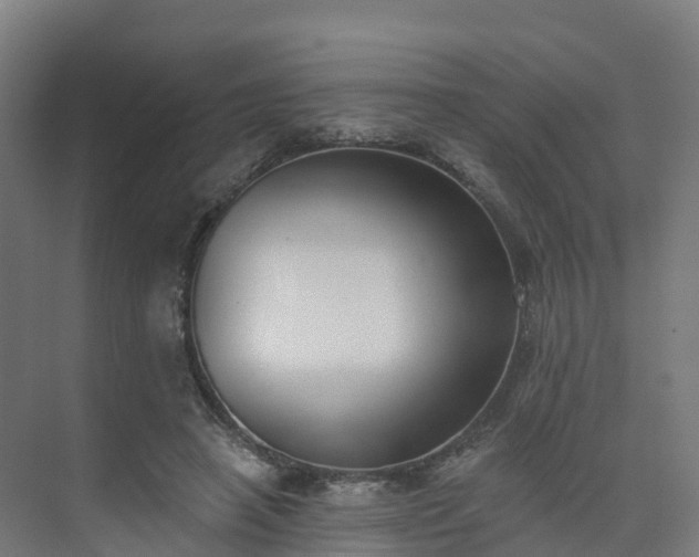 X0000075370450200609151707