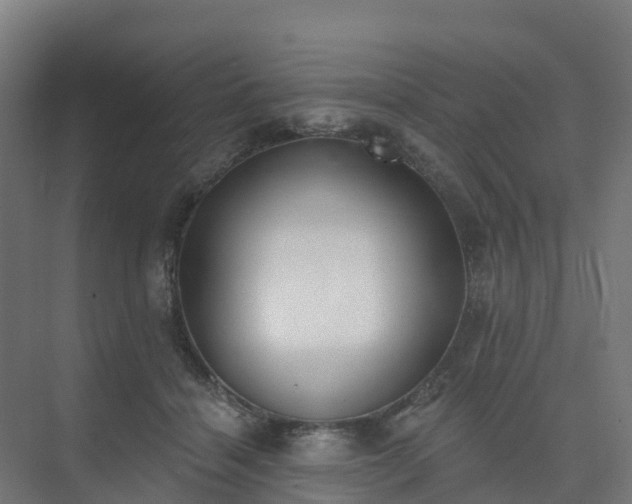 X0000075370460200609151707