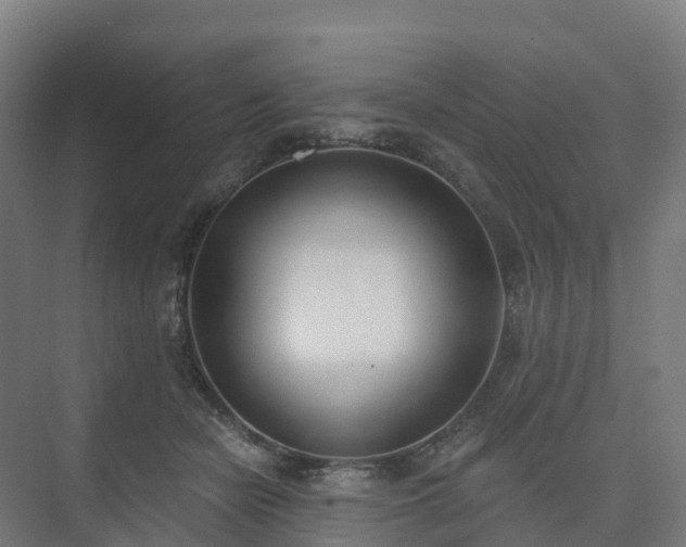 X0000075370462200609151707