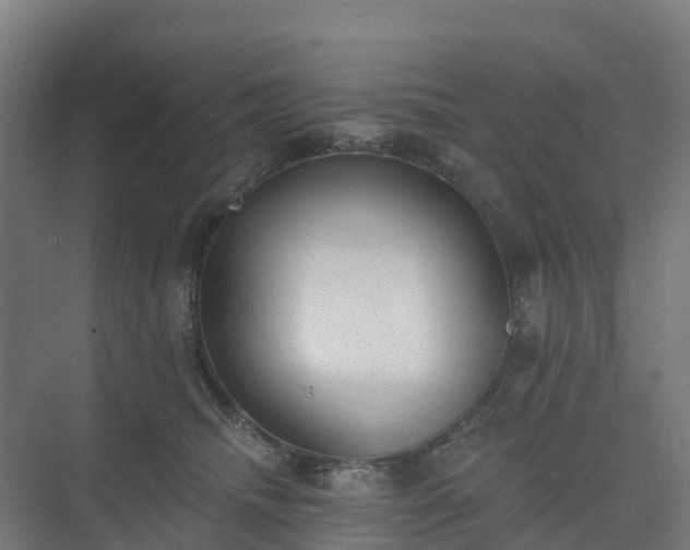 X0000075370468200609151707
