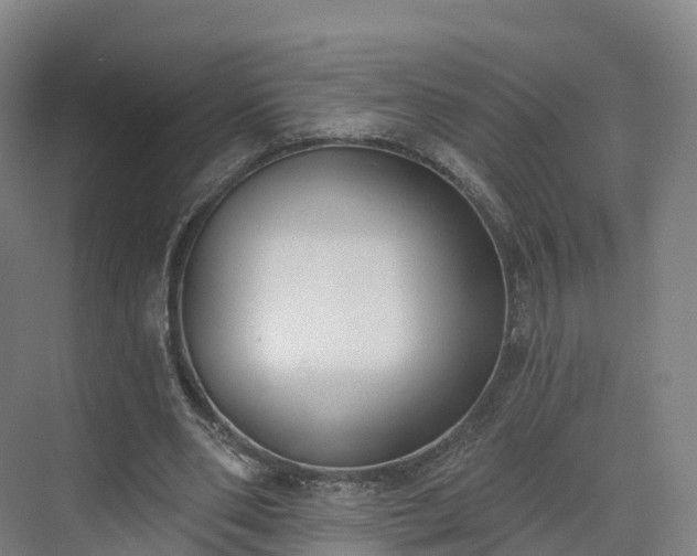 X0000075370486200609151706