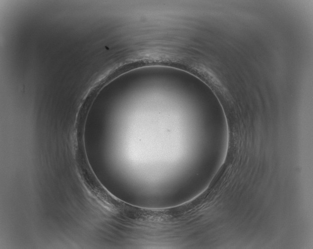 X0000075370488200609151706