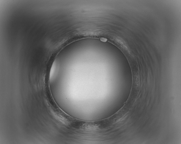 X0000075370491200609151706