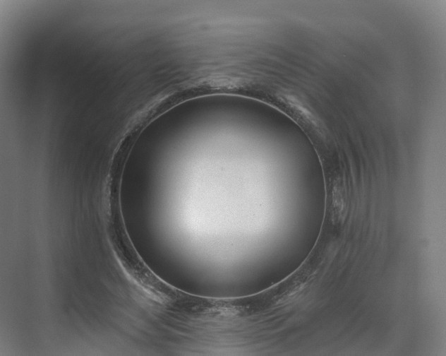X0000075370492200609151706