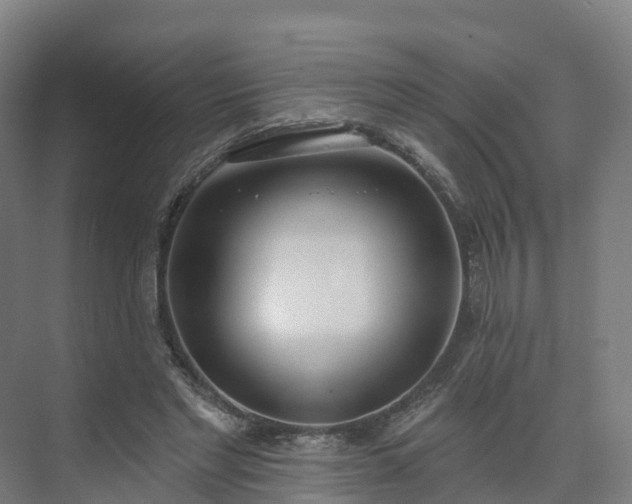 X0000075370493200609151706