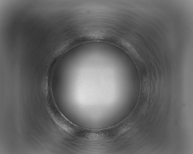 X0000075370494200609151706