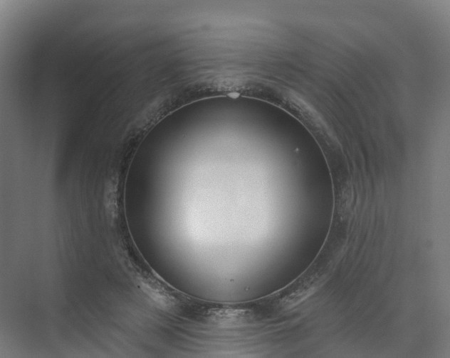 X0000075370497200609151706