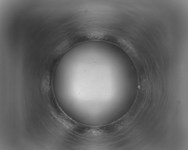X0000075370498200609151706