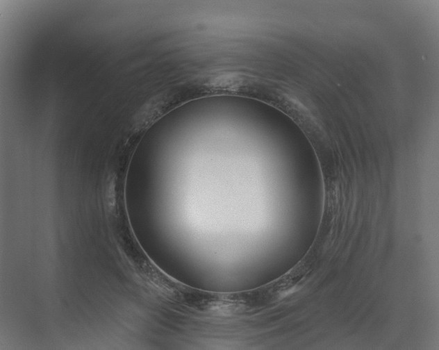 X0000075370504200609151706