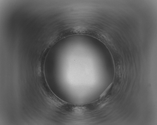 X0000075370508200609151706