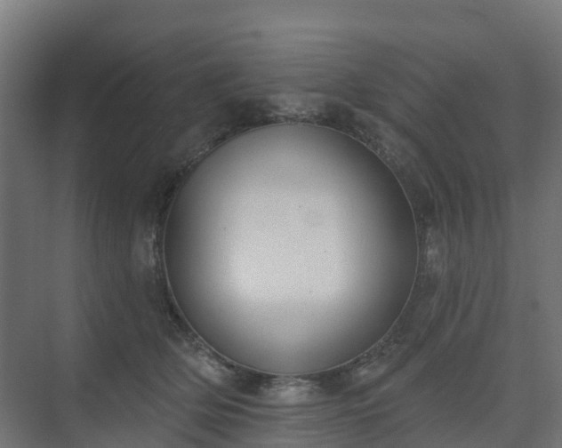 X0000075370514200609151706