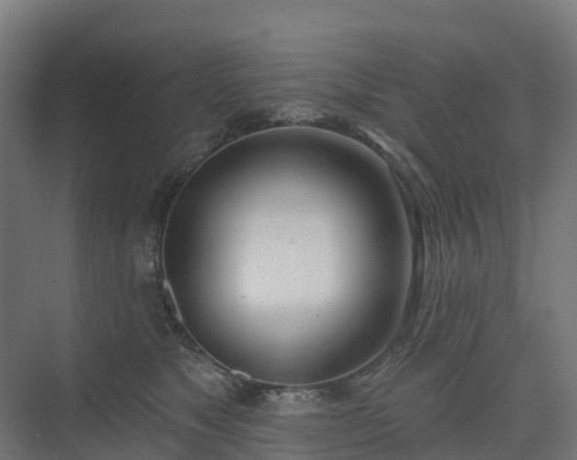 X0000075370517200609151706